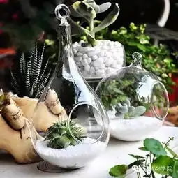 diy多肉植物装饰小物少女心泛滥