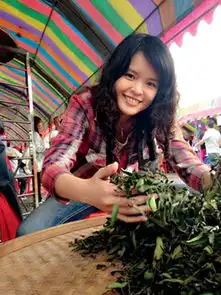 这么漂亮的女学霸,还拼尽才华来卖茶