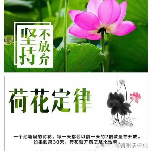 荷花定律,学深悟透弄懂做实,可以实现理想,创造辉煌