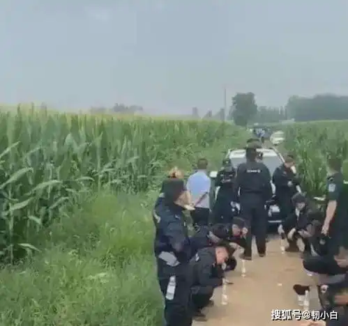 穷凶极恶嫌疑犯拿了百万赎金后将12岁女孩杀害潜逃,目前已被抓获