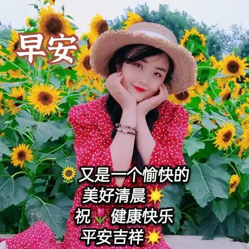 9张炎炎夏日有创意的友情早上好免打字图片带祝福语夏日温馨的大家早上好问候语图片精选