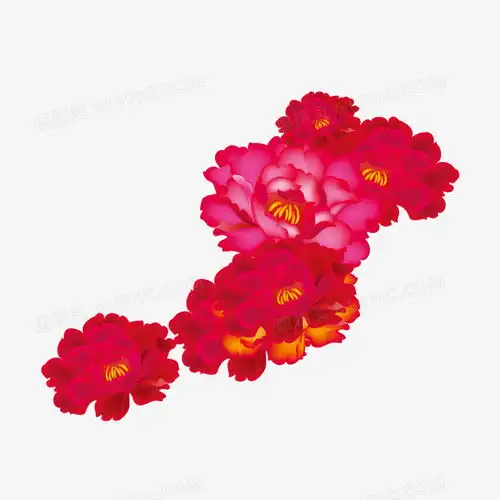 红色牡丹花图片免费下载png素材编号13gieeqx3图精灵