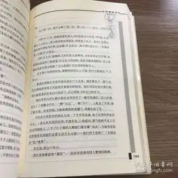 女检察官手记