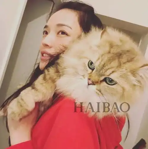 羡慕40的舒淇晒素颜和冯德伦结婚后的她比原来...