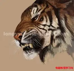 利用painter绘制逼真老虎的过程和简介