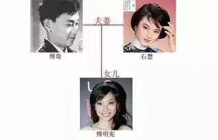 2500万买衣服,交往小11岁富二代,昔日美少女整成翻版刘梓晨