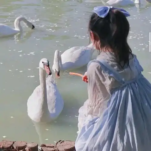 ins甜甜女头