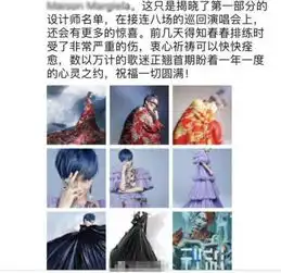 李宇春坐轮椅现身照片上只有一张背影