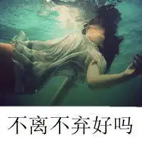 欧美范qq女生头像巴黎铁塔下的爱情