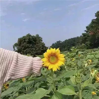 一批很赞的唯美风景图头像,超有意境哦