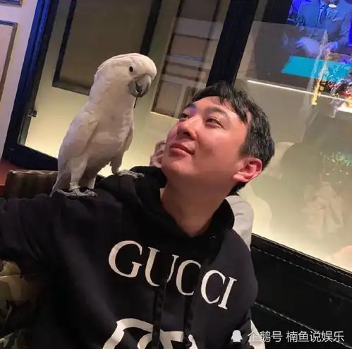 33岁王思聪庆生,游艇派对美女如云,有钱人的世界你想不到