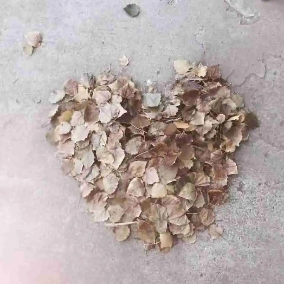 男的分手后用心的微信头像什么心里