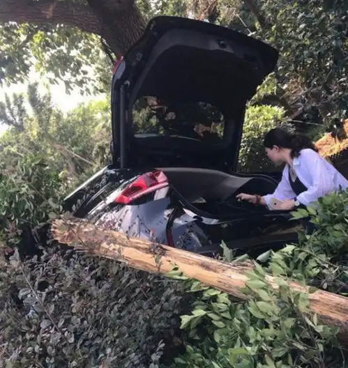 买车差点出事,销售说带美女试驾,速度太快一头扎进小树林