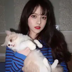 可爱女生和猫的头像超好看爱而不得真的不如不遇见