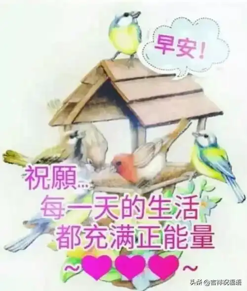 朋友圈早安正能量问候语录2019最新版,早上好问候图片漂亮带字