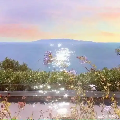 表面看起来精得很,其实内心就是一枚傻白甜的星座