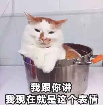 男生都是这么追女生的吗简直笑哭哈哈哈哈哈