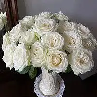花加盆栽flowerplus花加年宵灵芝金属盆器多少钱