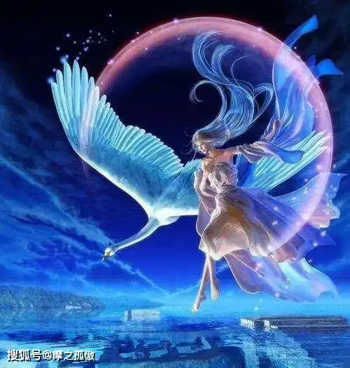 难以摆脱孤单命运的星座女