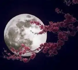 问月老耕田书童的博客民俗学博客folkloreblogs与先民对话,与田野亲近,与传统对接poweredxspace