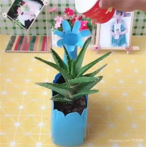 洗衣液瓶子做花盆制作方法图片