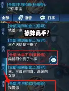 王者荣耀女朋友打游戏的时候最好别骚扰她,否则你的下场就会跟他一样