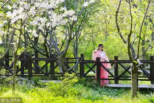 三月粉色樱花季15处赏樱胜地撩动你的少女心5