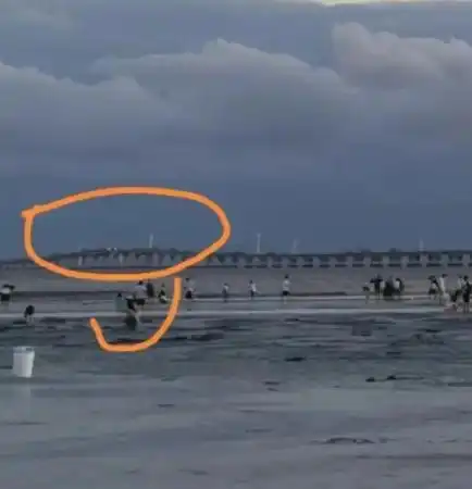4岁女童海滩失踪发现新线索,监控画面曝更多信息,疑摔倒后消失