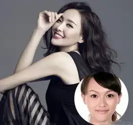 杨幂佟丽娅刘亦菲景甜范冰冰孙俪当红女星素颜证件照