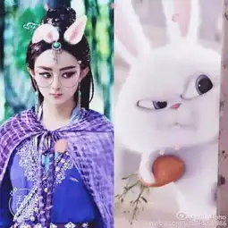 赵丽颖迷之喜欢兔子,难道是因为ta