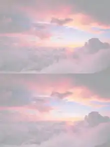蚂蚁呀黑