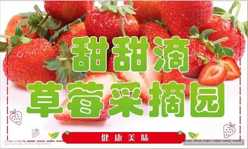 草莓采摘背景图片名片设计图室外广告设计