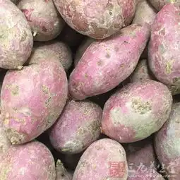 吃什么补血女性快速补血的食物推荐