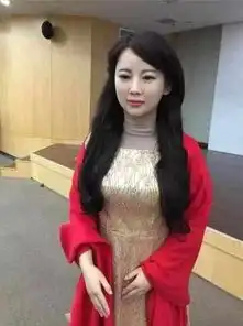 中国第一台美女机器人,与真人真假难分,就连那里都极逼真