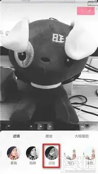 抖音黑白视频怎么拍,如何设置黑白色特效