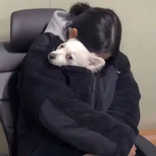 有没有一些有人有猫的女生头像