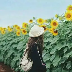 个人动态