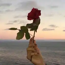 可可西里的海