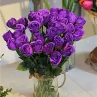 紫玫瑰花图片头像微信头像图片大全
