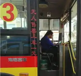 女司机开车看小说自毁前程酿苦果