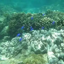 2019石梅湾加井岛门票,万宁石梅湾加井岛游玩攻略,石梅湾加井岛游览攻略路线地址门票价格