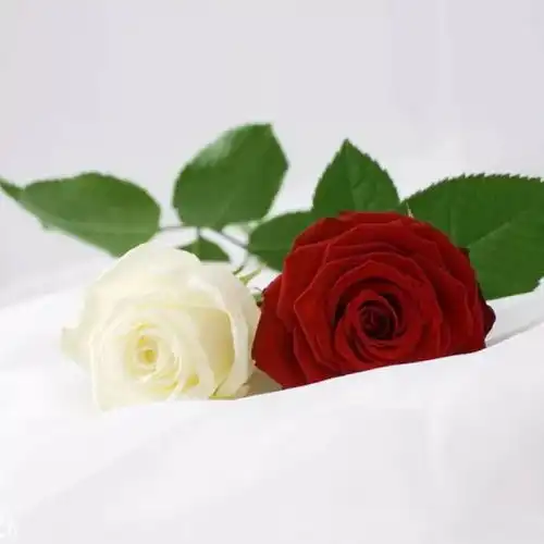 爱,需要勇气,更需要
