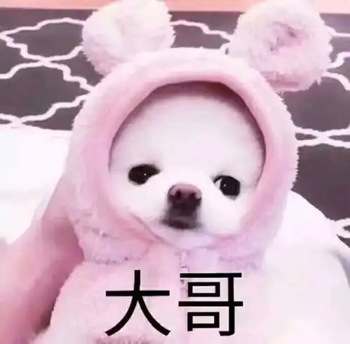 谁有这个的大哥小弟情侣头像
