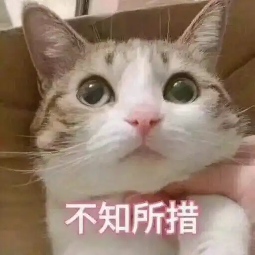 海上繁花窦骁为爱改变化身情话大师,浪漫告白直戳少女心