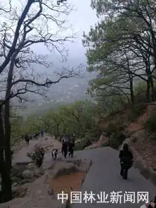 生态优先绿色发展生态旅游论坛在江苏东海举行
