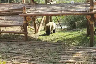 成都美食之遇