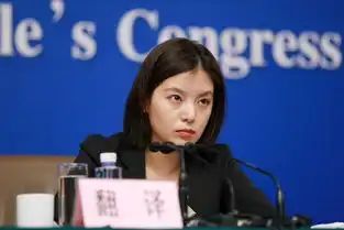 两会众多美女翻译引关注冷艳美女神似赵薇