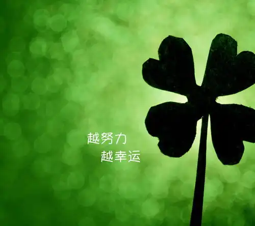 听樱起歌犬夜叉之dearest第二期