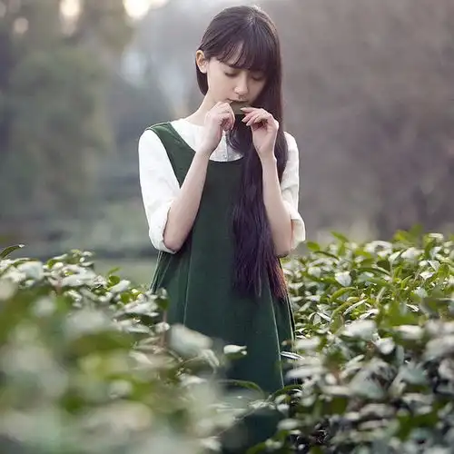 表白墙借我你的爱,我会还的