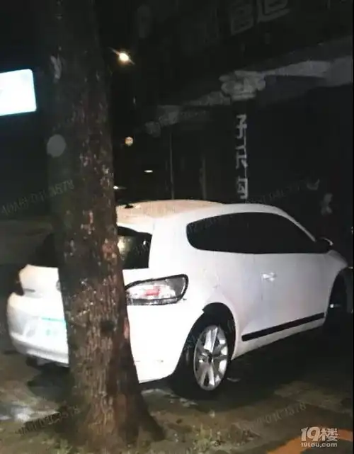 深夜,喝酒开车撞树后找女友顶包,结果尴尬了